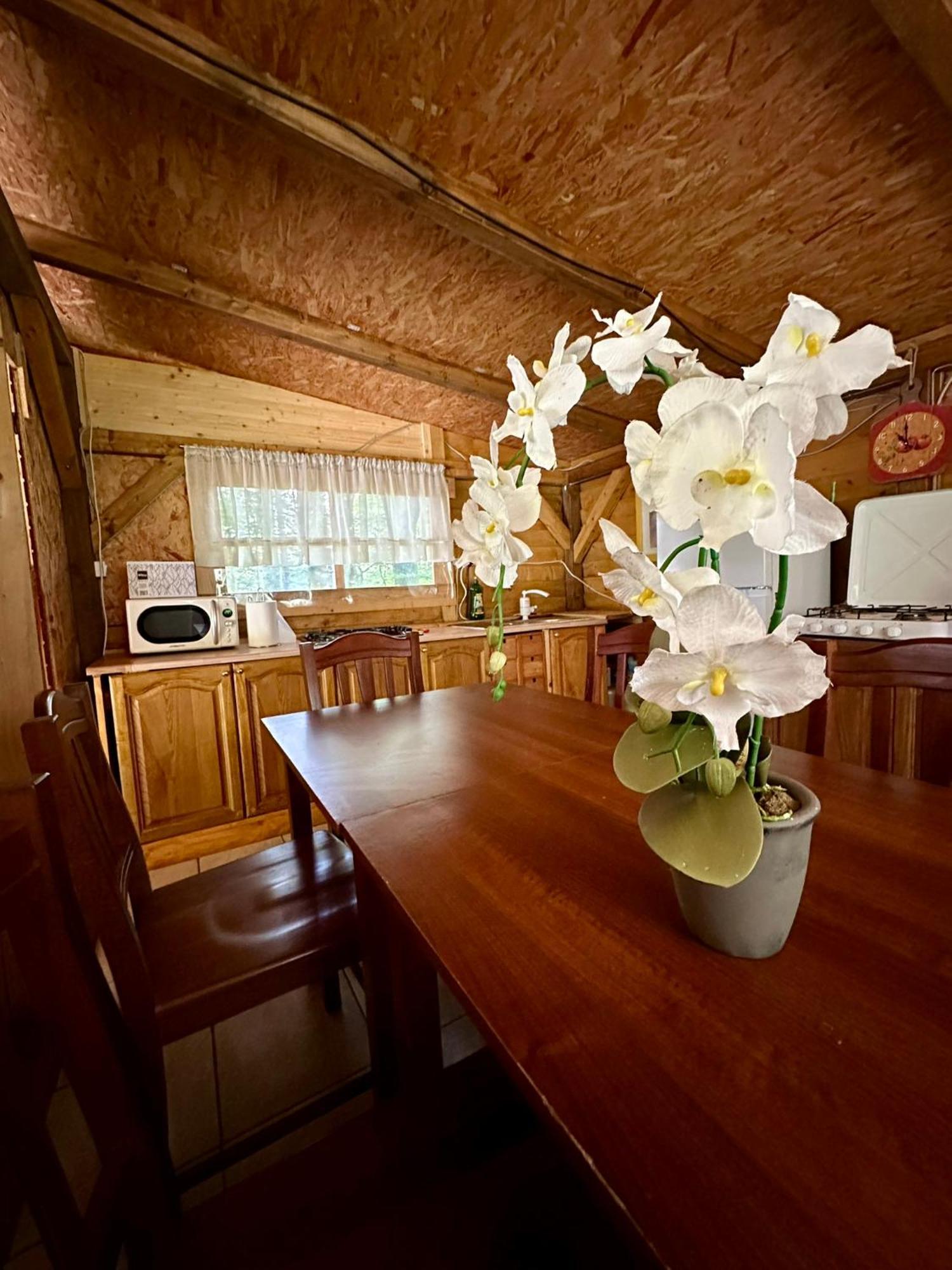 Glamping Krn Hotel Kobarid Kültér fotó